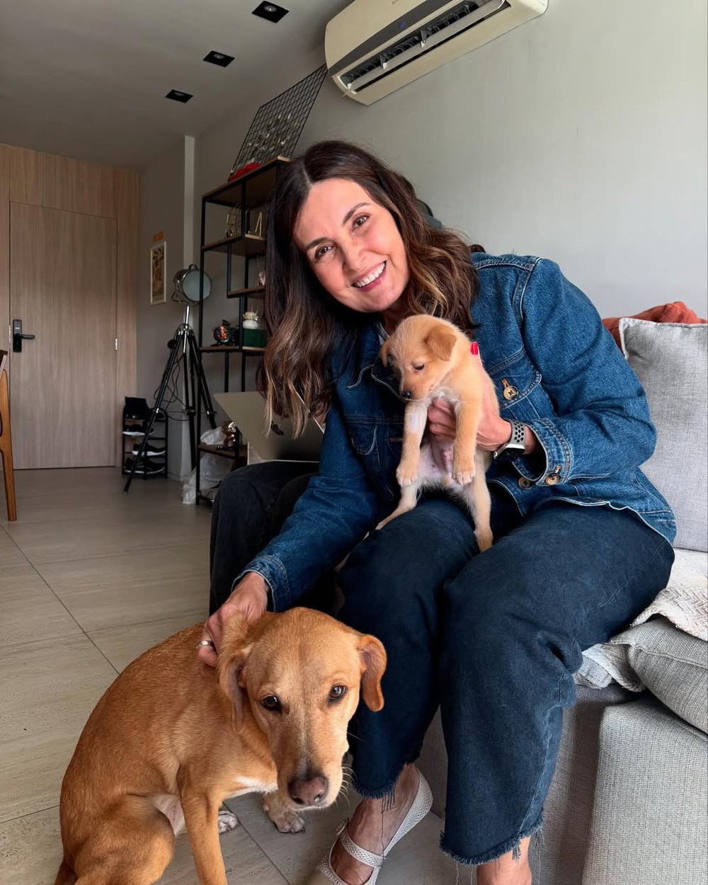Fátima Bernardes adota novo cachorro e dá nome parecido com ator famoso ...