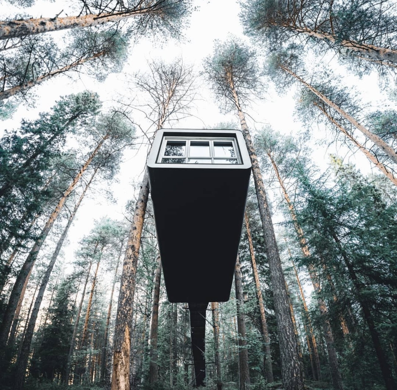 Treehotel, na Suécia, proporciona experiência com quartos na árvore