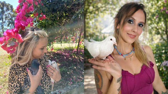 Você adotaria um pombo? Projeto em São Paulo mostra que é possível Você adotaria um pombo? Projeto em São Paulo mostra que é possível