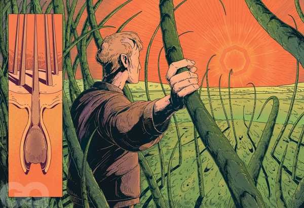 Homens relatam pesadelo após uso de remédio popular para calvície