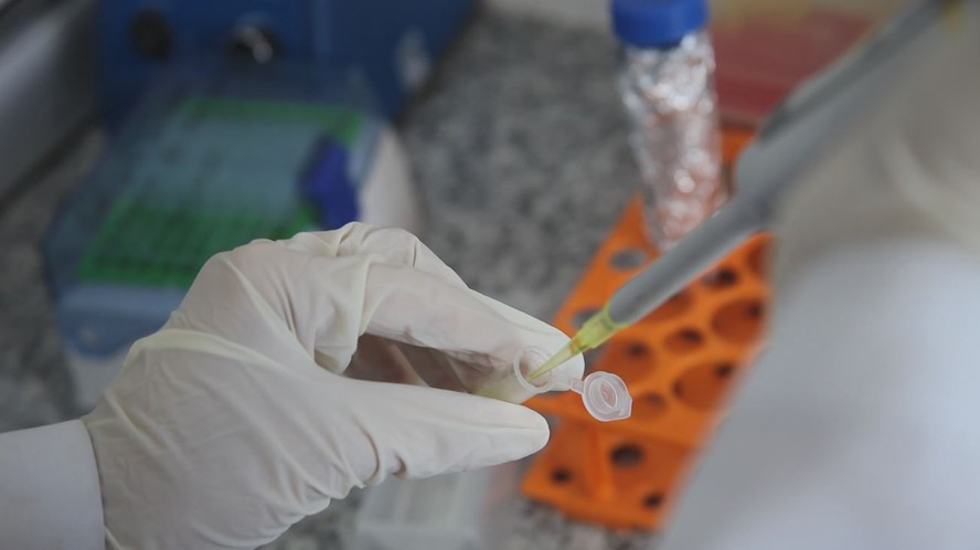 Vacina pra tratar a dependência química em cocaína e crack está sendo desenvolvida pela  Faculdade de Medicina da UFMG