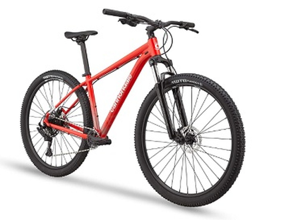 Dia mundial da bicicleta: 5 modelos para ir trabalhar e passear pela ...