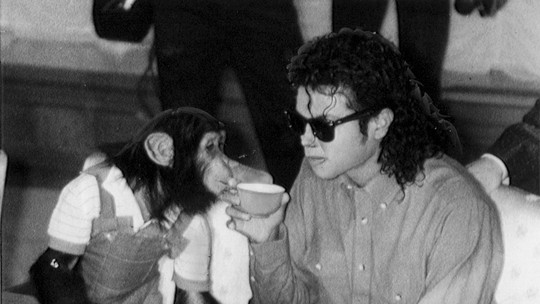 Bubbles: como chimpanzé de Michael Jackson herdou herança milionária paga até hoje pela família do artista