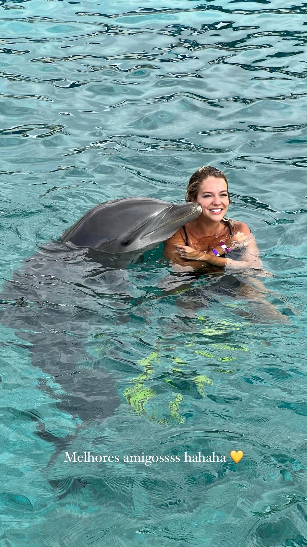 Gabi Lopes curte com golfinhos em Curaçao — Foto: Reprodução / Instagram