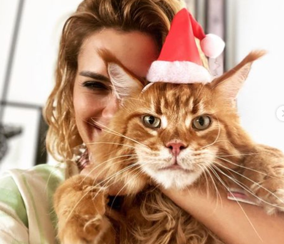 Carolina Dieckmann posa com o gato em clima de Natal