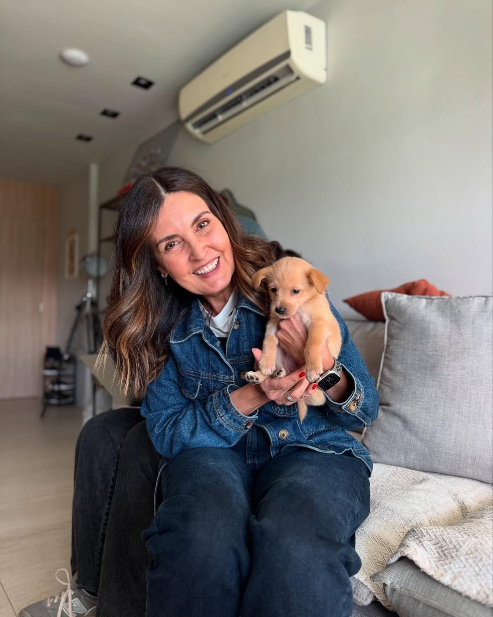 Fátima Bernardes adota novo cachorro e dá nome parecido com ator famoso ...