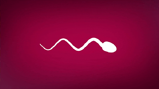 Engolir esperma faz mal?
