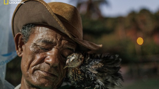 Tragédia, onça e amizade: histórias brasileiras se destacam em seleção das melhores fotos do mundo em 2025 Tragédia, onça e amizade: histórias brasileiras se destacam em seleção das melhores fotos do mundo em 2025