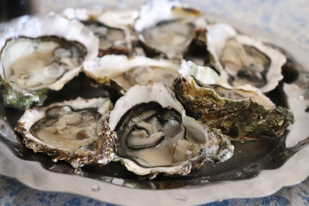 Ostras — Foto: Getty images