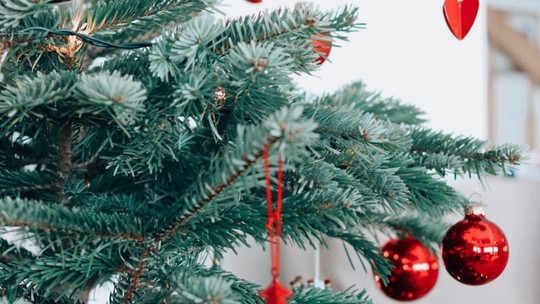 7 decorações natalinas para comprar online
