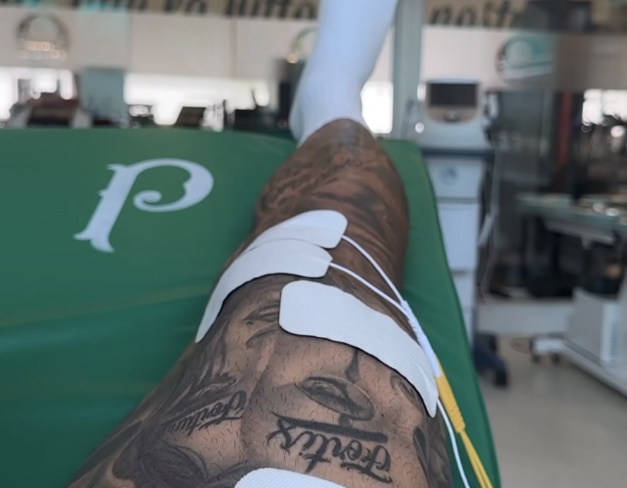 Dudu iniciou seu tratamento na Academia de Futebol do Palmeiras